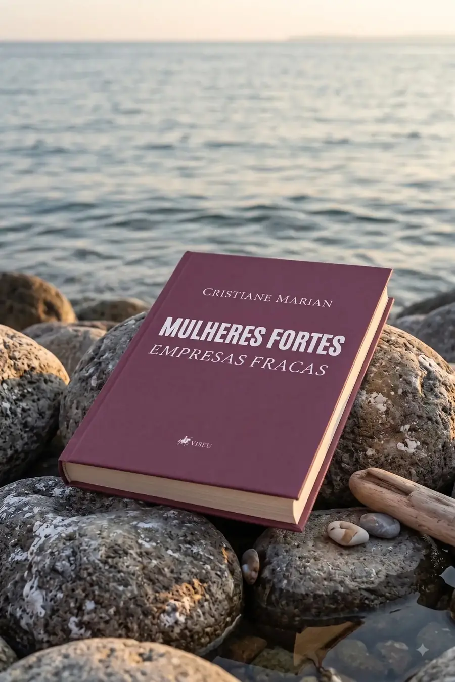 Livro Mulheres Fortes, Empresas Fracas sobre pedras à beira do mar